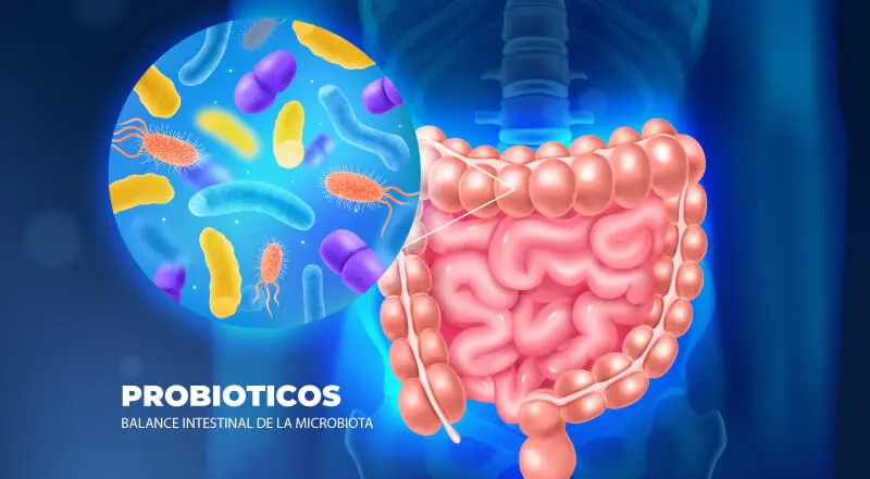 Importancia de la microbiota intestinal: 7 beneficios clave para la salud - Probioticos - Mar Alonso Moreno