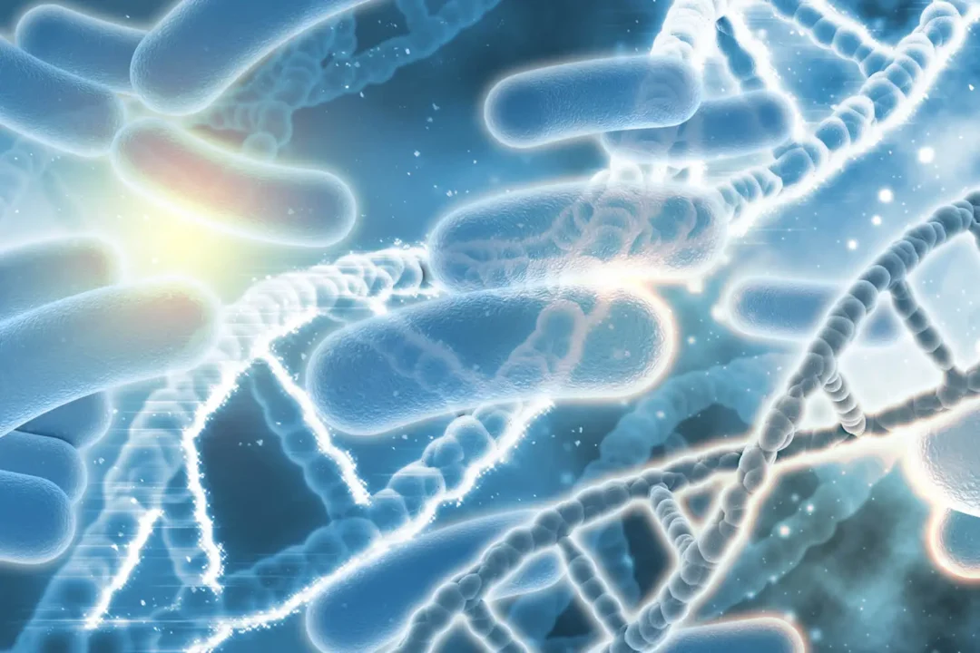 La microbiota son bacterias buenas para la salud - Mar Alonso Moreno