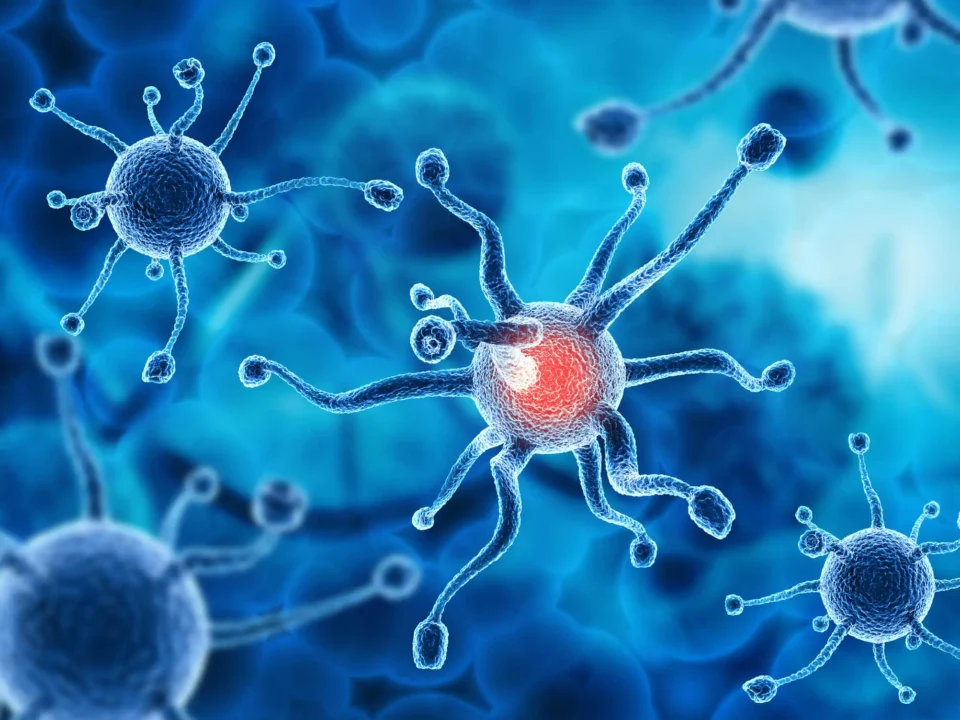 La microbiota qué es y su importancia para la salud humana - Mar Alonso Moreno