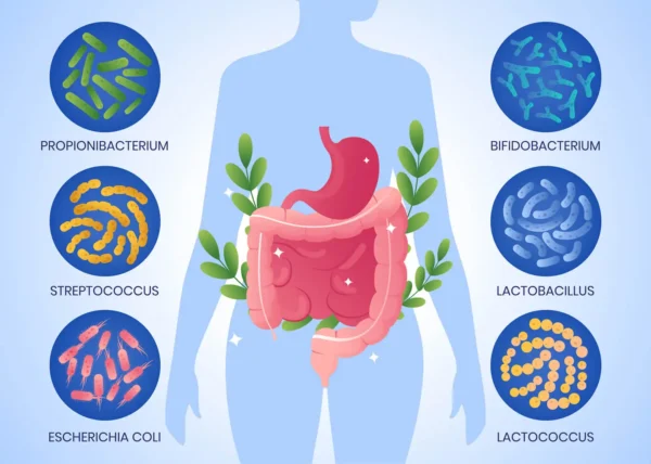 La Microbiota se ubica en la boca, estómago e intestinos - Mar Alongo Moreno